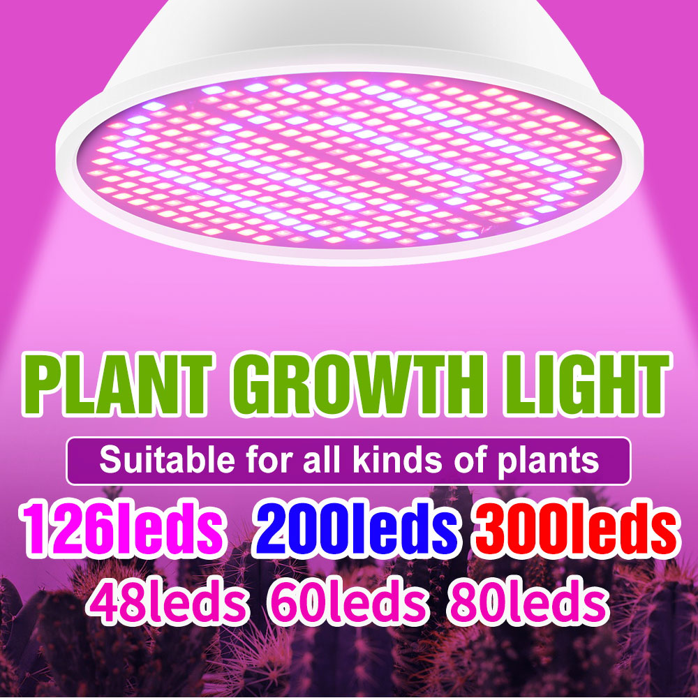 Grow Tent Complete Kit - E27/E26 220 فولت LED تنمو ضوء