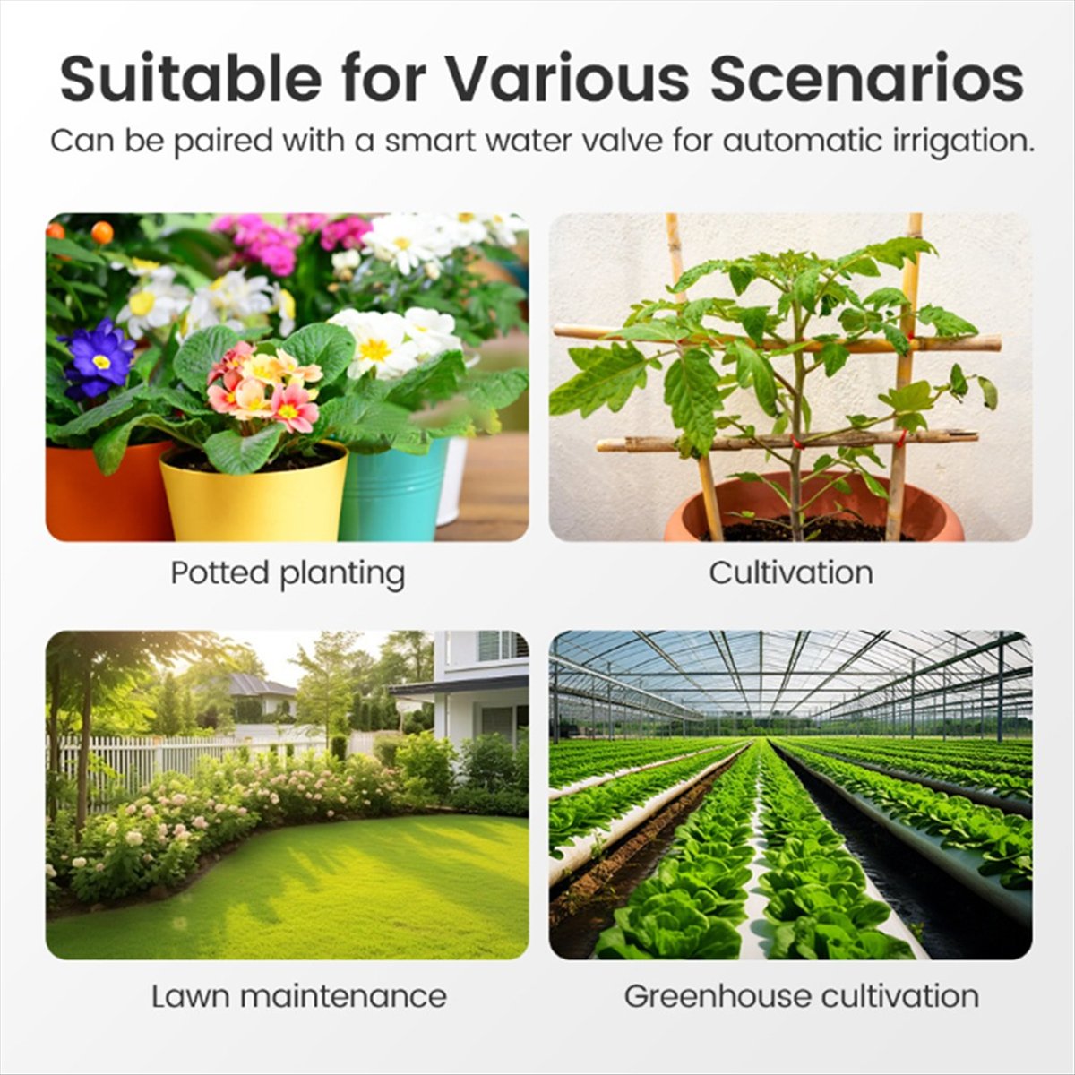 Smart Garden Zigbee - جهاز اختبار التربة الذكي ABJA Tuya