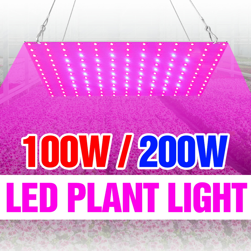 مصباح نباتات LED بقوة 200 واط، - مراجعة Grow Tent Complete Kit وسعره