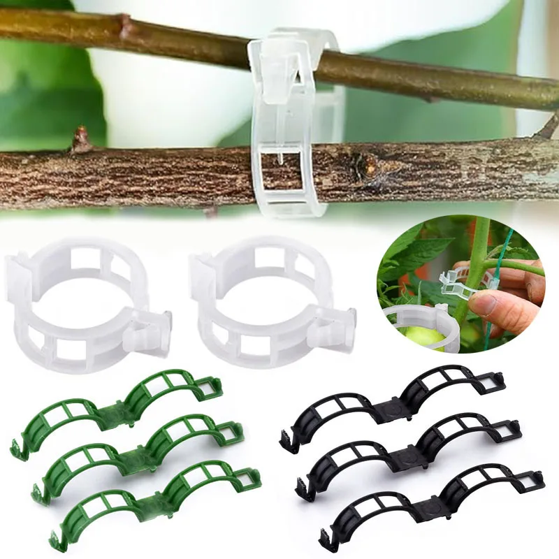 100 قطعة مقاطع تثبيت النباتات  - مراجعة Smart Garden Hub وسعره